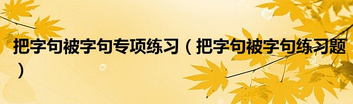 把字句被字句专项练习（把字句被字句练习题）