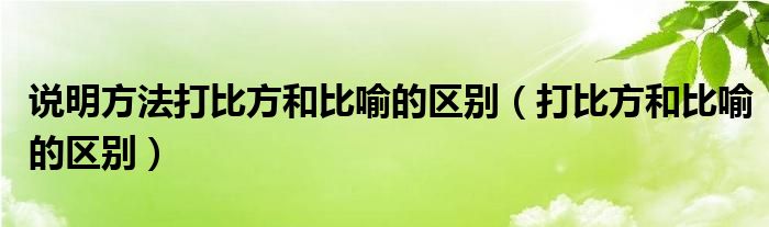 说明方法打比方和比喻的区别（打比方和比喻的区别）