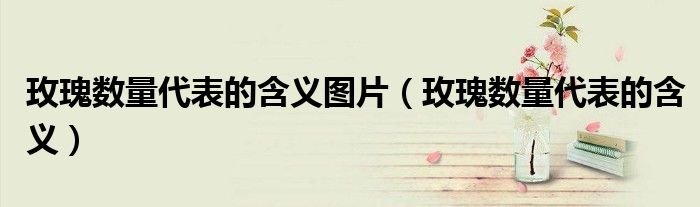 玫瑰数量代表的含义图片（玫瑰数量代表的含义）