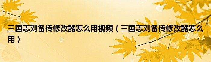三国志刘备传修改器怎么用视频（三国志刘备传修改器怎么用）