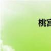 桃宫莓的尾巴（桃宫莓）