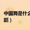 中国舞是什么舞蹈视频教学（中国舞是什么舞蹈）