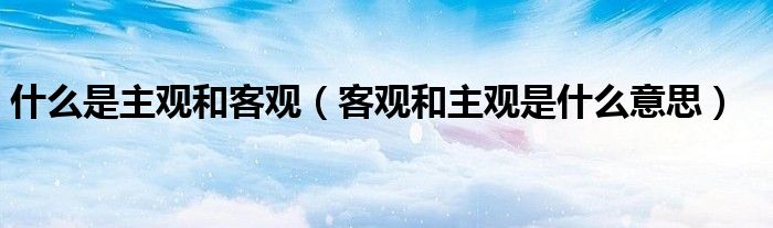 什么是主观和客观（客观和主观是什么意思）