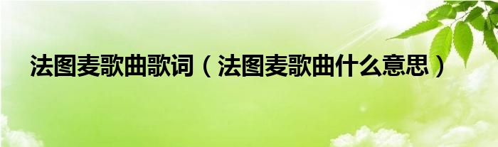 法图麦歌曲歌词（法图麦歌曲什么意思）