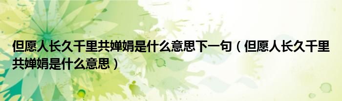 但愿人长久千里共婵娟是什么意思下一句（但愿人长久千里共婵娟是什么意思）