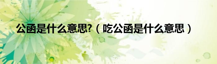 公函是什么意思?（吃公函是什么意思）