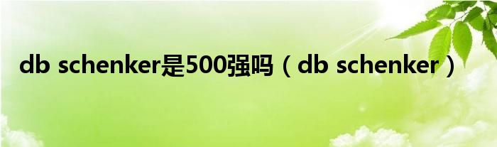 db schenker是500强吗（db schenker）