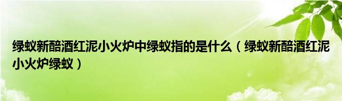 绿蚁新醅酒红泥小火炉中绿蚁指的是什么（绿蚁新醅酒红泥小火炉绿蚁）