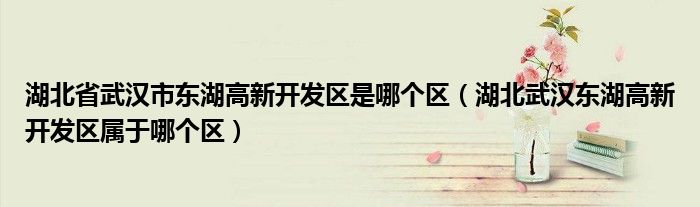 湖北省武汉市东湖高新开发区是哪个区（湖北武汉东湖高新开发区属于哪个区）