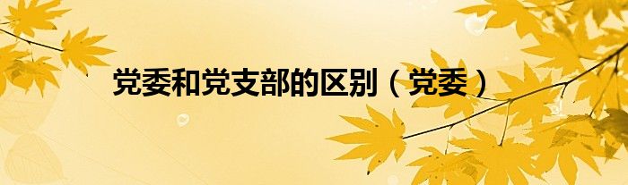党委和党支部的区别（党委）