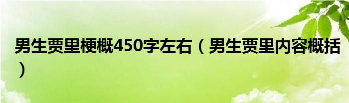 男生贾里梗概450字左右（男生贾里内容概括）