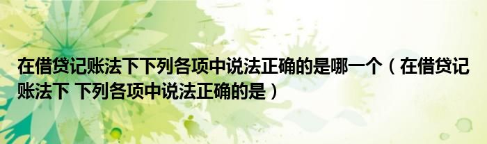 在借贷记账法下下列各项中说法正确的是哪一个（在借贷记账法下 下列各项中说法正确的是）