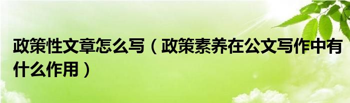 政策性文章怎么写（政策素养在公文写作中有什么作用）