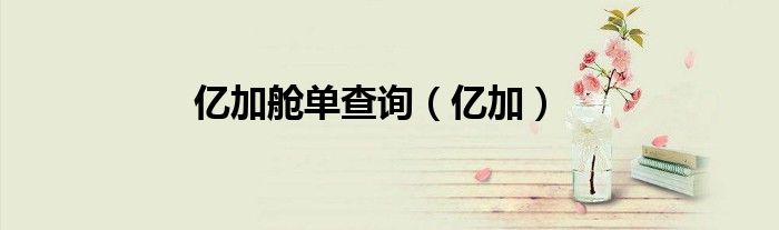 亿加舱单查询（亿加）