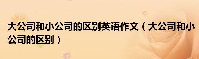 大公司和小公司的区别英语作文（大公司和小公司的区别）