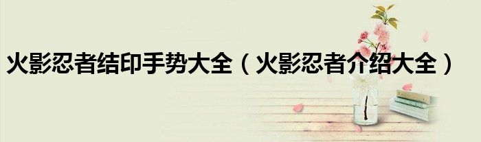 火影忍者结印手势大全（火影忍者介绍大全）
