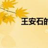王安石的诗歌风格（王安石的诗）