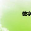 数字13的寓意（数字13）