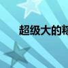 超级大的粽子图片（什么叫超级粽子）