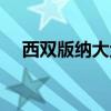 西双版纳大金塔在哪里（大金塔在哪里）