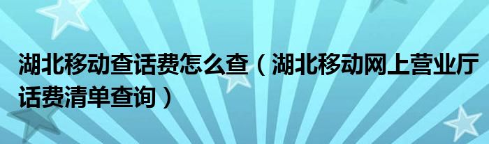 湖北移动查话费怎么查（湖北移动网上营业厅话费清单查询）