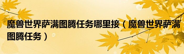 魔兽世界萨满图腾任务哪里接（魔兽世界萨满图腾任务）