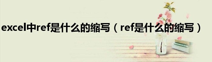 excel中ref是什么的缩写（ref是什么的缩写）