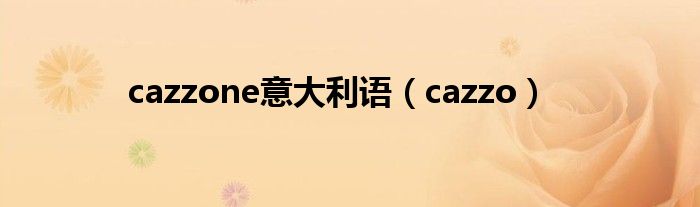 cazzone意大利语（cazzo）