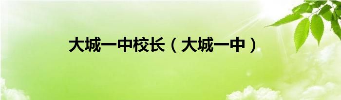 大城一中校长（大城一中）