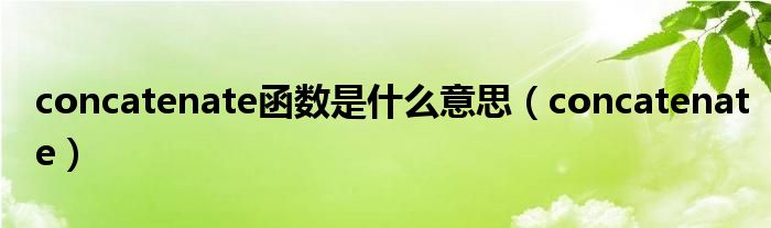 concatenate函数是什么意思（concatenate）