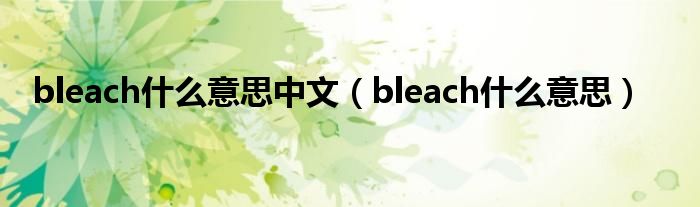 bleach什么意思中文（bleach什么意思）