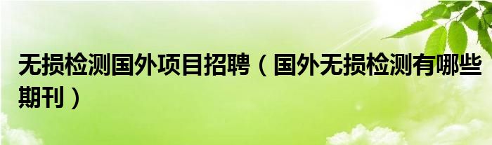 无损检测国外项目招聘（国外无损检测有哪些期刊）
