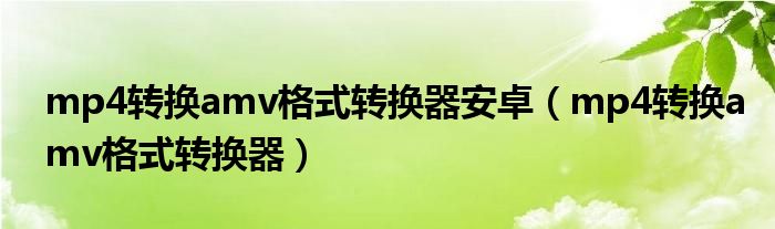 mp4转换amv格式转换器安卓（mp4转换amv格式转换器）