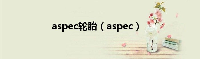 aspec轮胎（aspec）