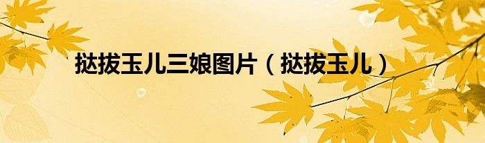 挞拔玉儿三娘图片（挞拔玉儿）