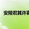 安陵君其许寡人其翻译（安陵君其许寡人）