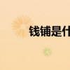 钱铺是什么意思（qp是什么意思）