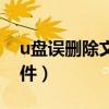 u盘误删除文件恢复（怎样恢复u盘删除的文件）