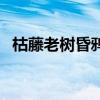 枯藤老树昏鸦全诗（枯藤老树昏鸦的画面）