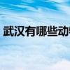 武汉有哪些动物园（武汉动物园门票多少钱）