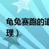 龟兔赛跑的道理告诉我们什么（龟兔赛跑的道理）