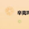 辛夷坞作品集（辛夷坞作品）