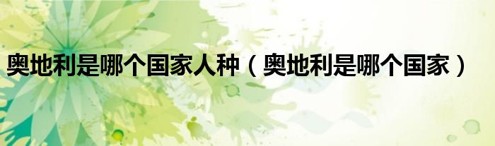 奥地利是哪个国家人种（奥地利是哪个国家）