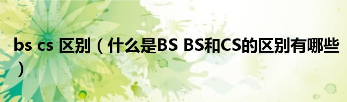 bs cs 区别（什么是BS BS和CS的区别有哪些）