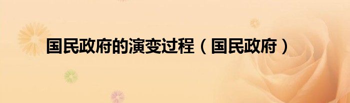 国民政府的演变过程（国民政府）