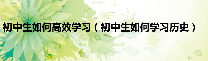 初中生如何高效学习（初中生如何学习历史）