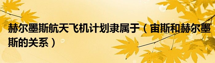 赫尔墨斯航天飞机计划隶属于（宙斯和赫尔墨斯的关系）