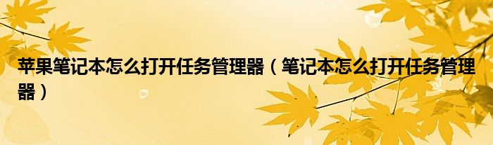 苹果笔记本怎么打开任务管理器（笔记本怎么打开任务管理器）