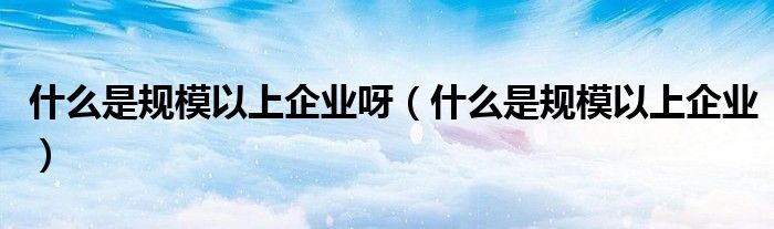 什么是规模以上企业呀（什么是规模以上企业）