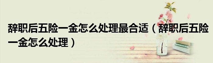 辞职后五险一金怎么处理最合适（辞职后五险一金怎么处理）